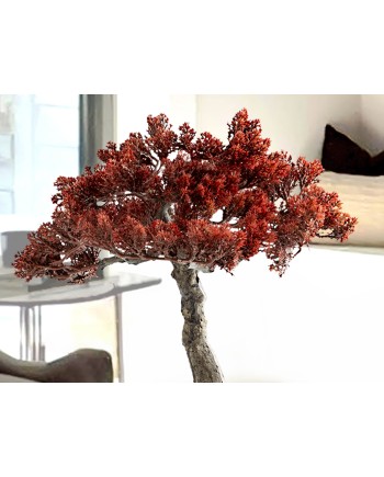 BUJIN-HI - BONSAI 45CM